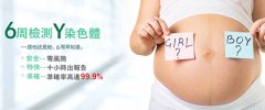 我想去香港验血，不知道费用多少钱？